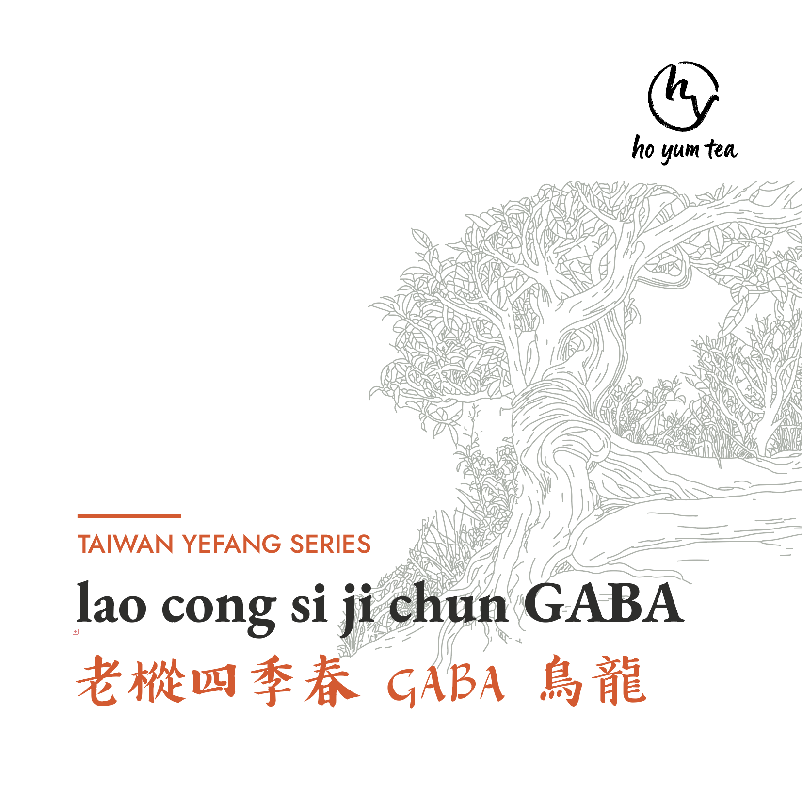 aged lao cong GABA - natural taiwanese red tea