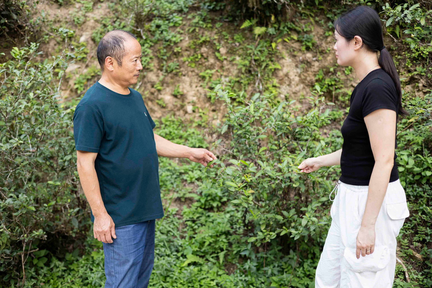Pink Luk and Master Zhang in Tongmu Guan Wild Forest Tea Plantation
