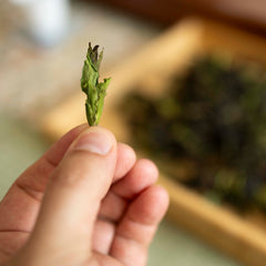 Yongde Da Xue Shan Yesheng Bai Cha - Wild White Tea