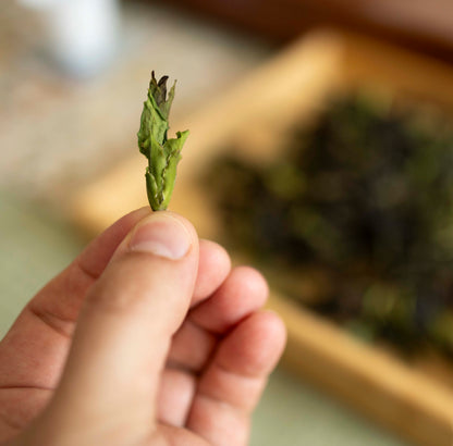 Yongde Da Xue Shan Yesheng Bai Cha - Wild White Tea