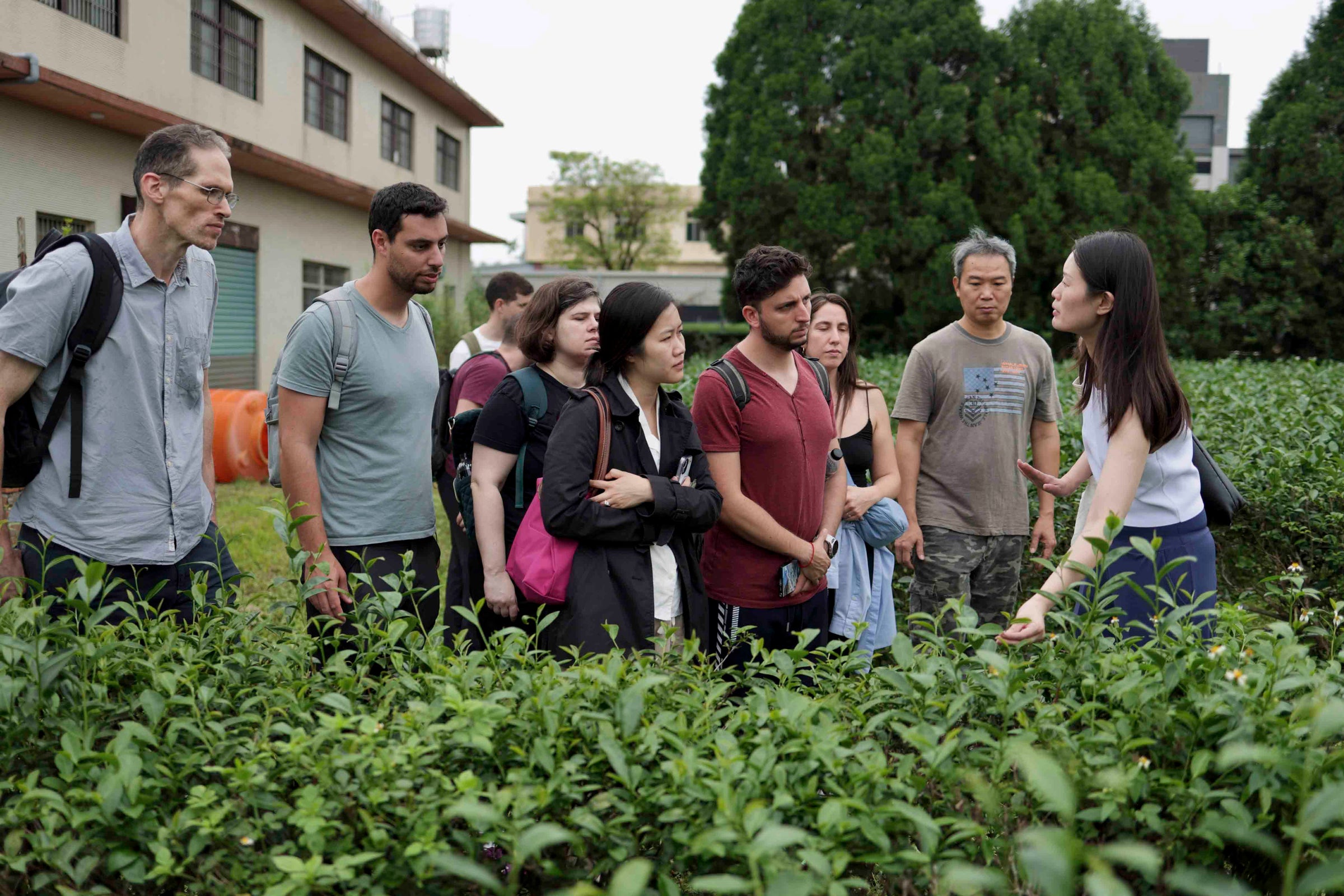 Load video: Taiwan tea trip boutique educational tour by ho yum tea