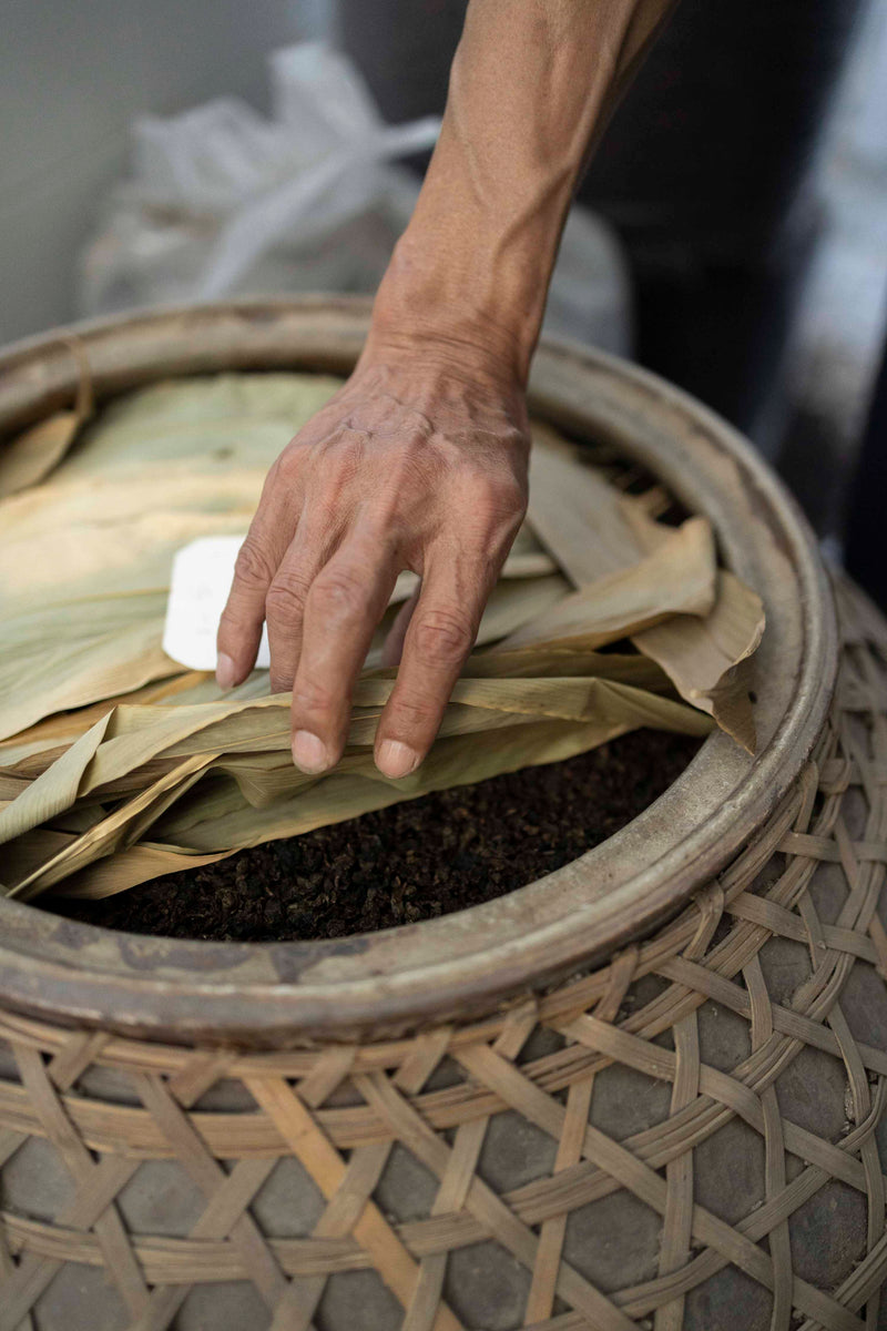 aged lao tie guan yin in tea storage warehouse in Anxi county