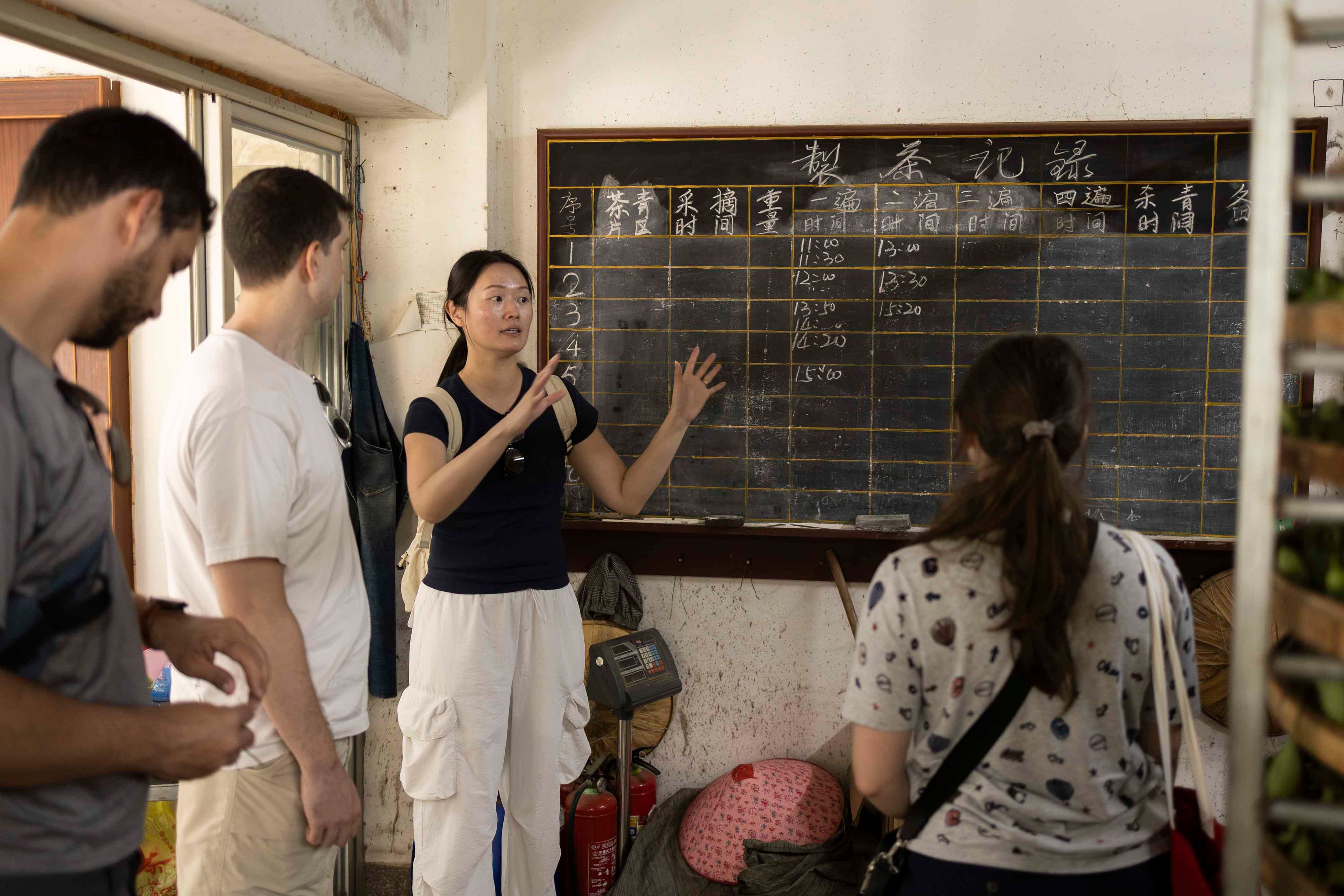 Pink Luk explains tie guan yin tea making schedule in a tea factory in Anxi