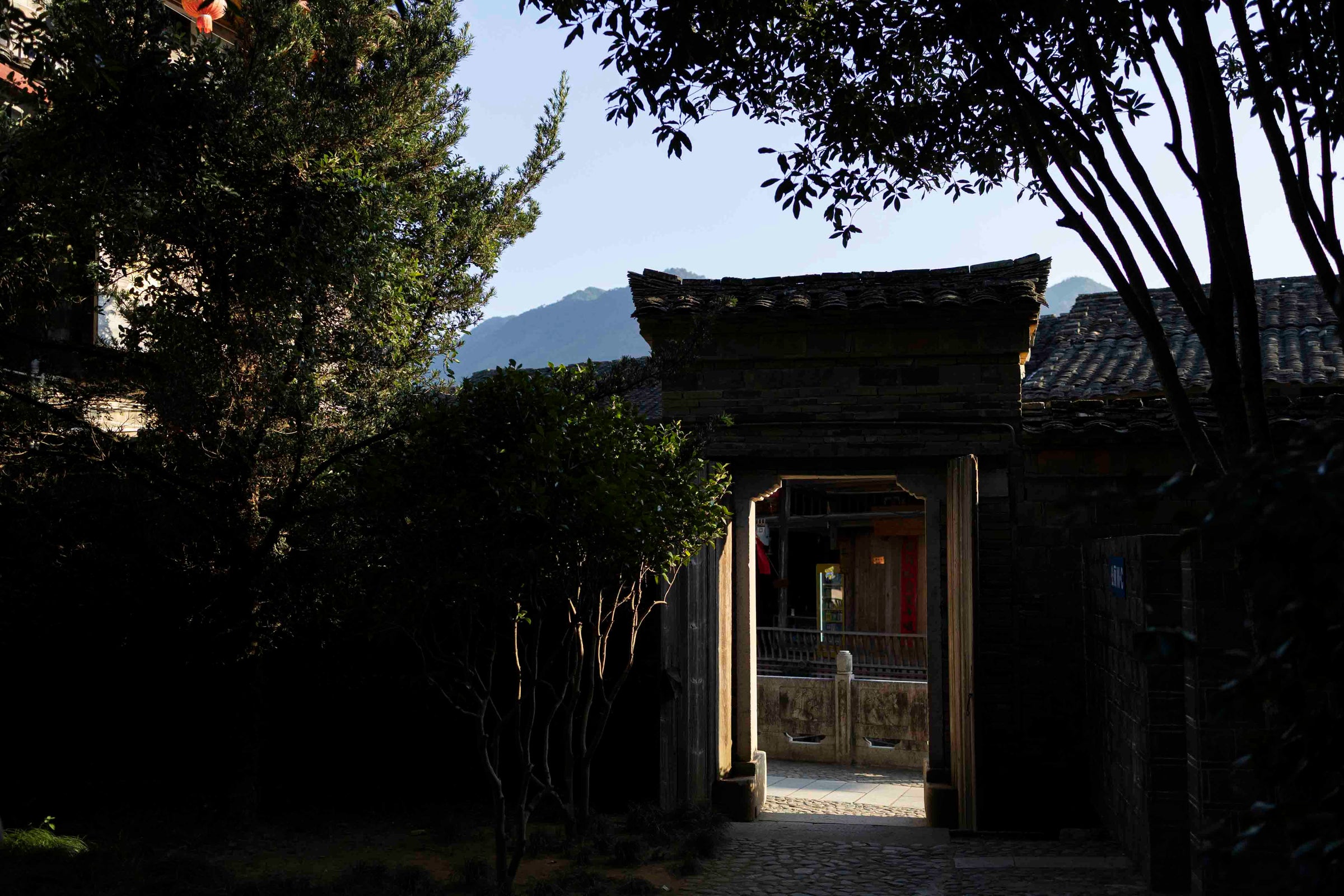 old village gate under ancient trees in Xiamei village, Wuyishan, Fujian, visited on the east china tea tour