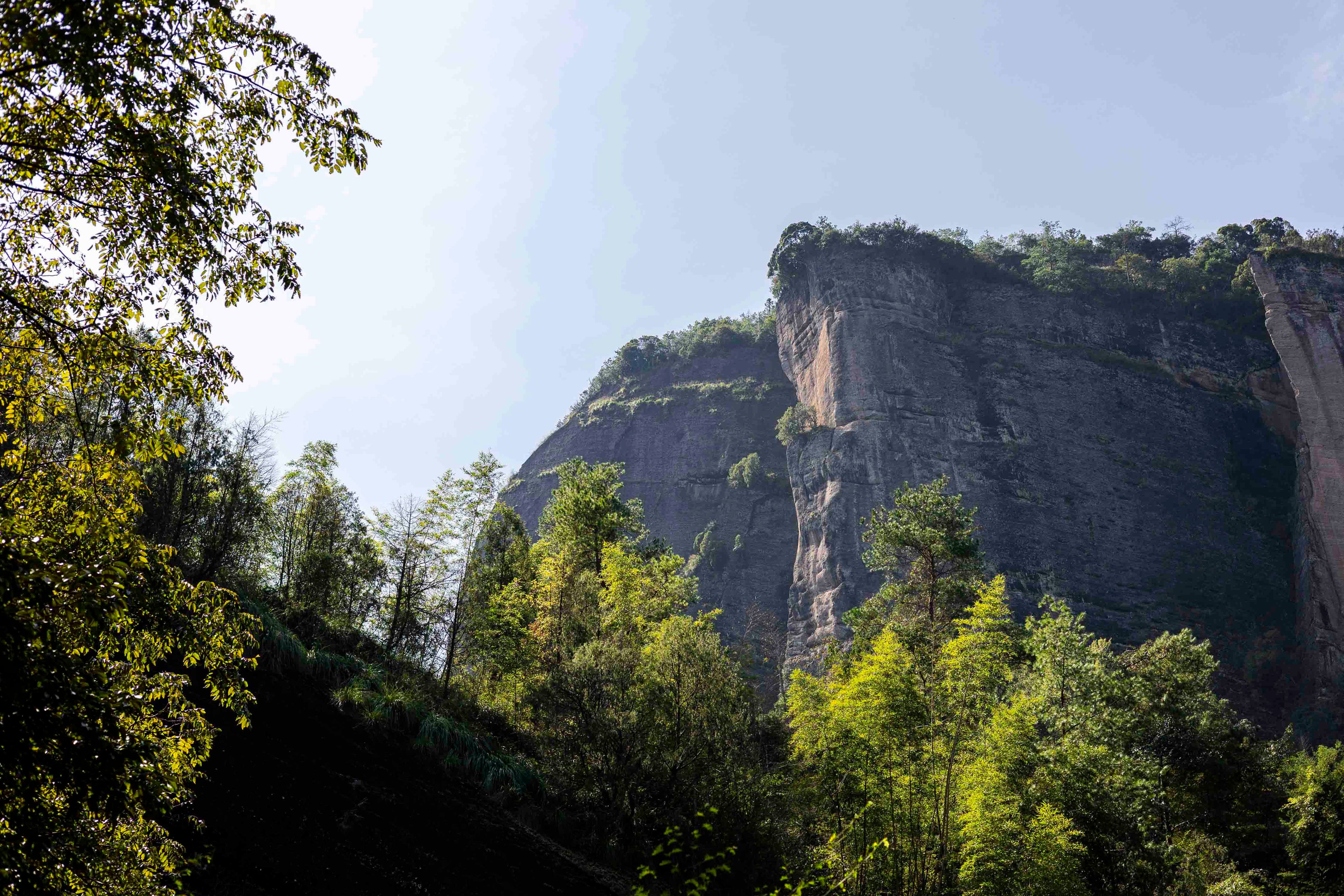 Hui Yuan Keng rock tea in Wuyi Shan picture by Nadi Biran