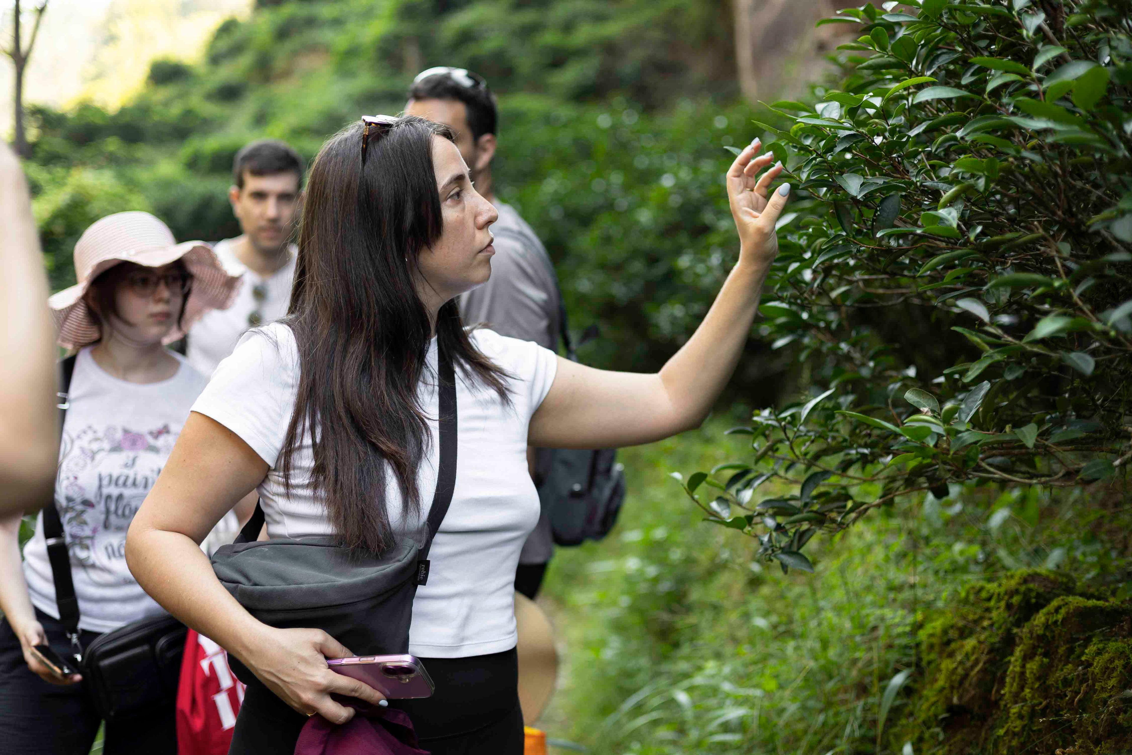 Hiking in Zhengyan UNESCO in Wuyi Shan, rou gui tea bush
