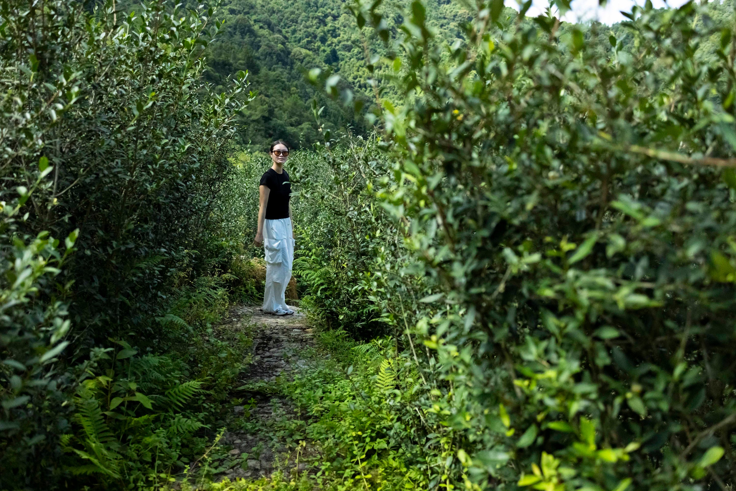 Pink Luk walking through a wild, untended tea garden in Anxi, Fujian on the sourcing trip
