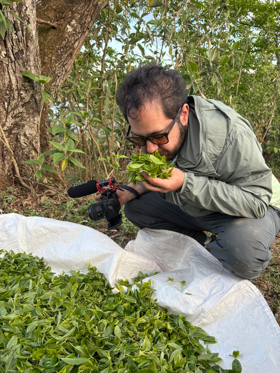 Yongde Liang Guo Shui Teng Tiao Gushu - Sheng Pu&