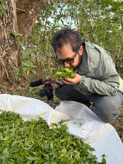 Yongde Liang Guo Shui Teng Tiao Gushu - Sheng Pu&