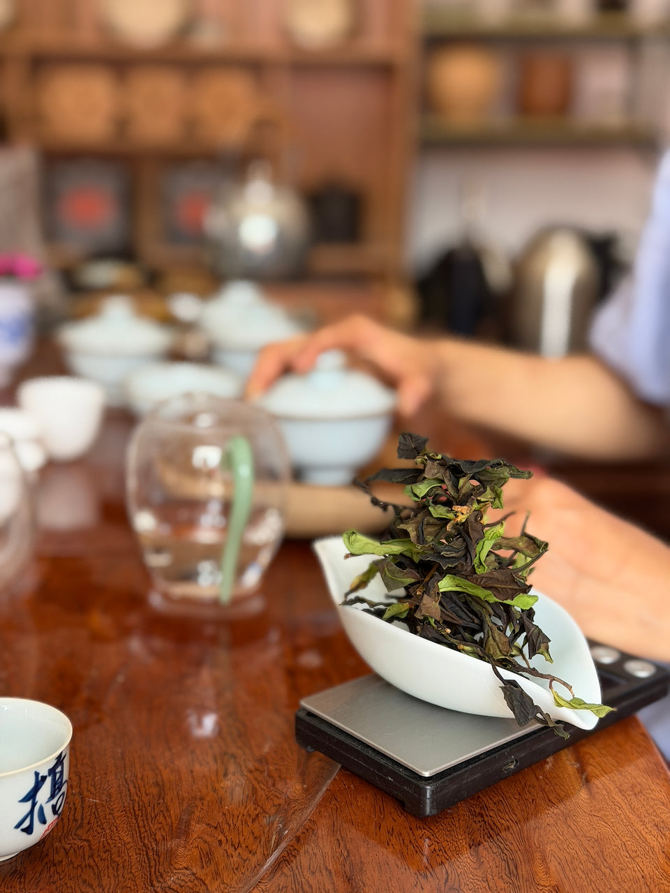 Yongde Da Xue Shan Yesheng Bai Cha - Wild White Tea