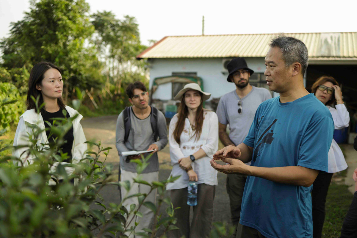 Taiwan tea master