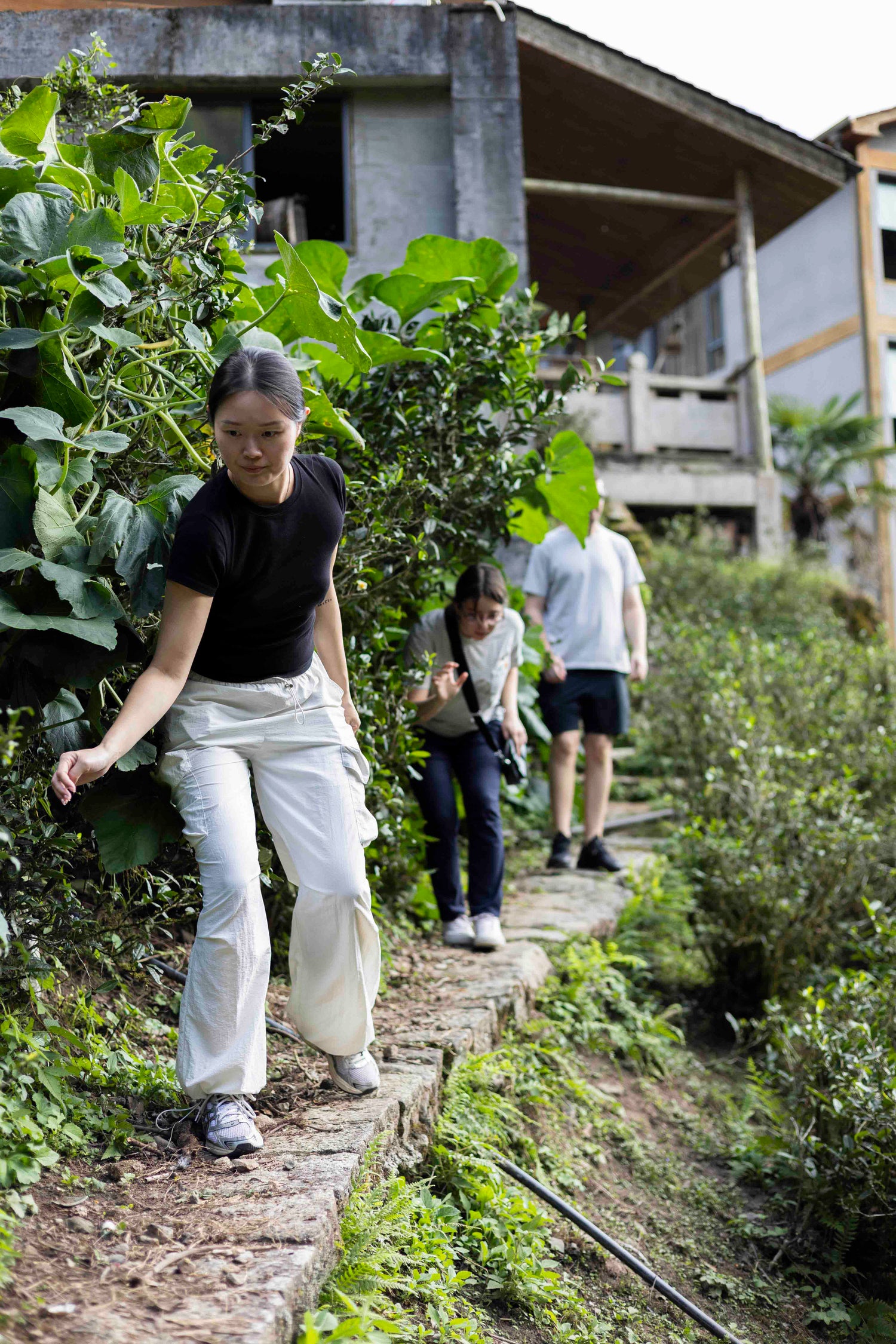 Pink Luk is guiding a travel group in tong mu guan wuyi shan