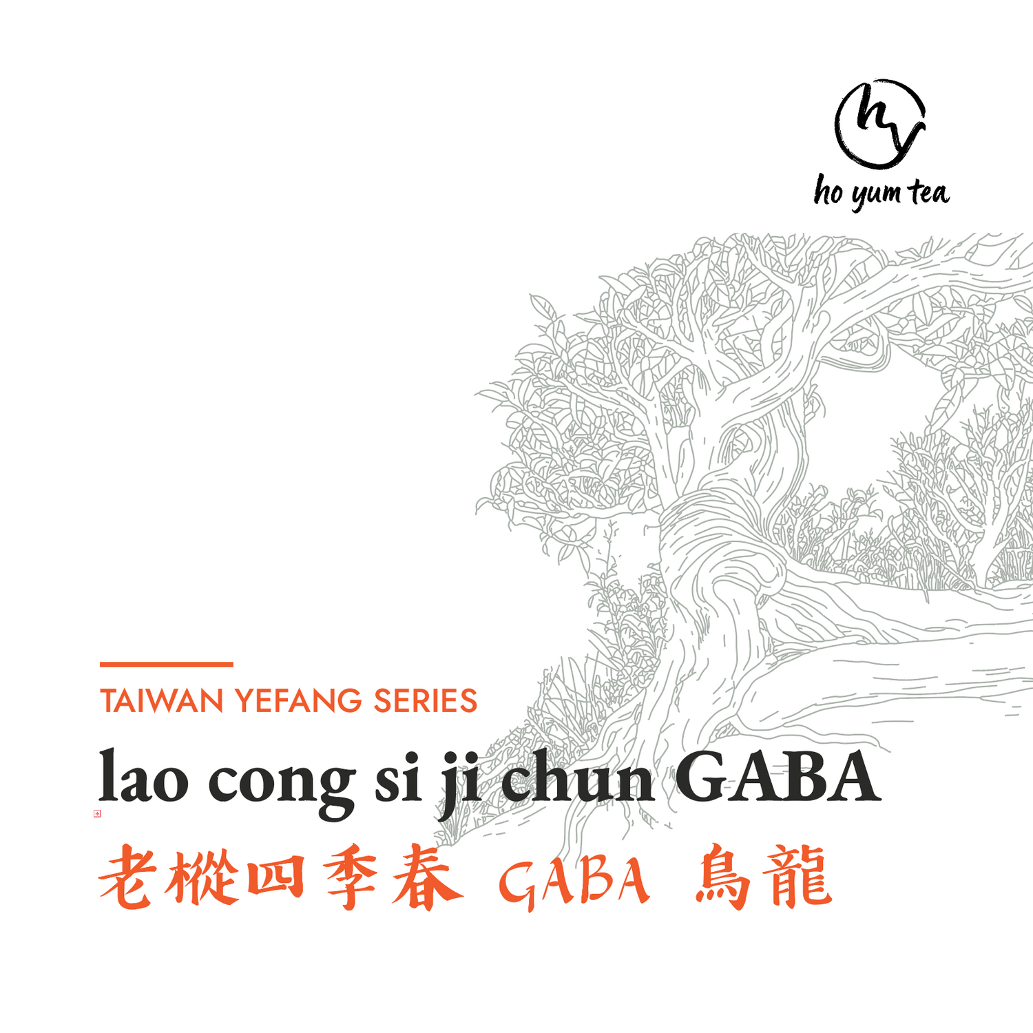 aged lao cong GABA - natural taiwanese red tea