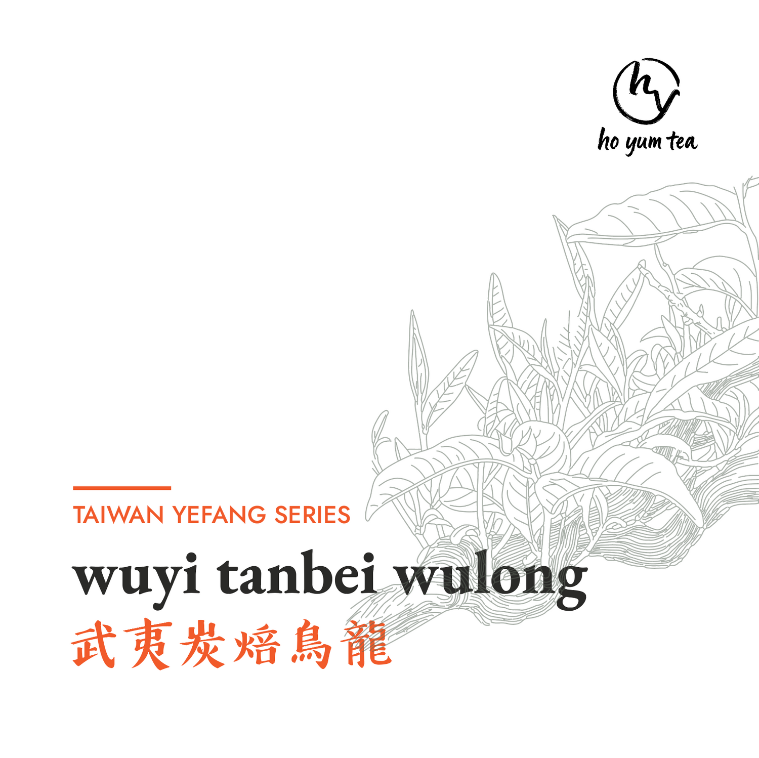 wuyi tanbei 2024 - natural taiwanese red tea