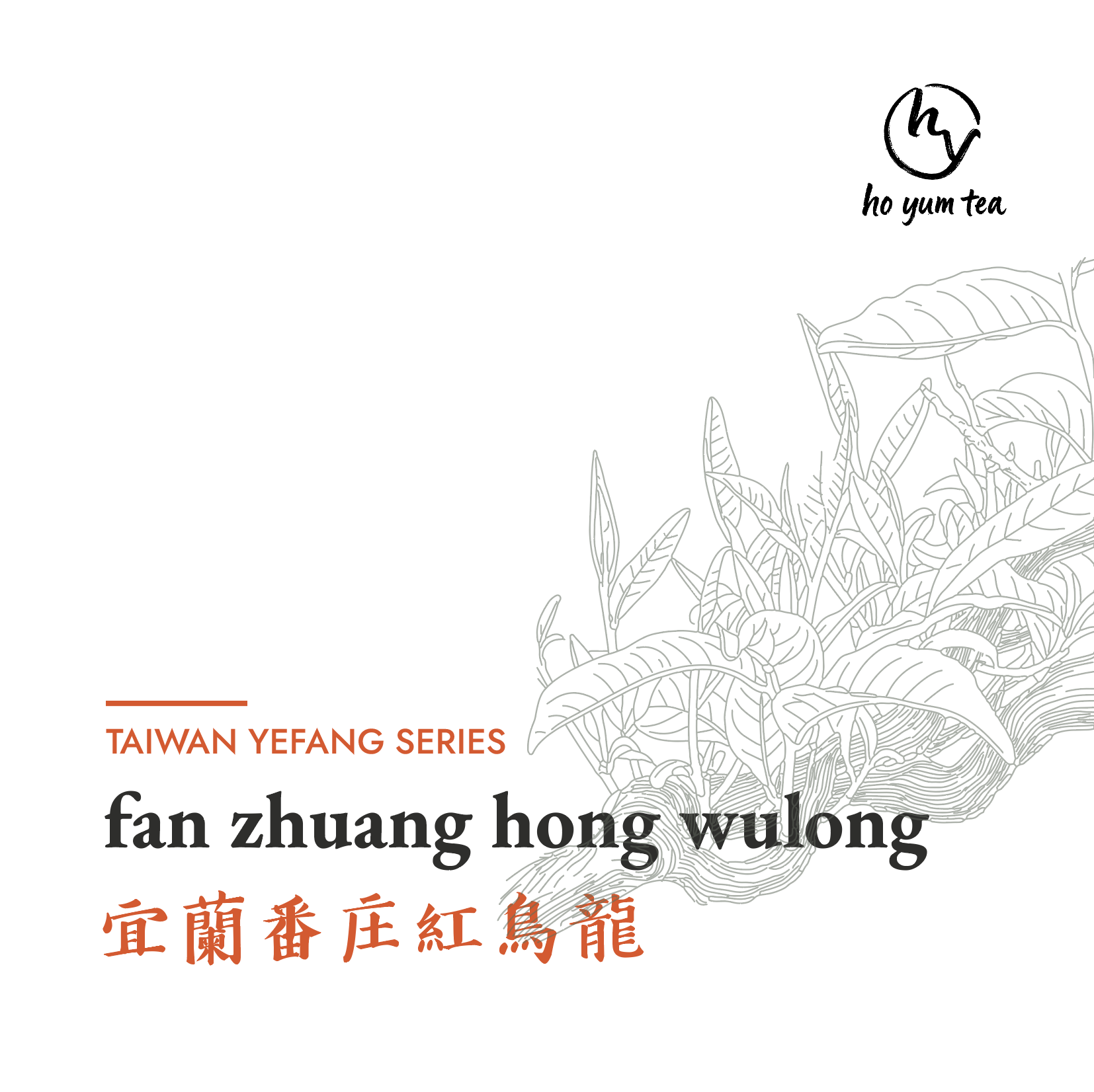 fan zhuang hong wulong - natural taiwanese red tea