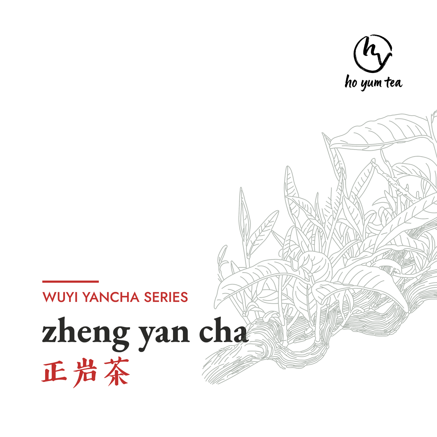 zheng yan cha - wuyi yancha series