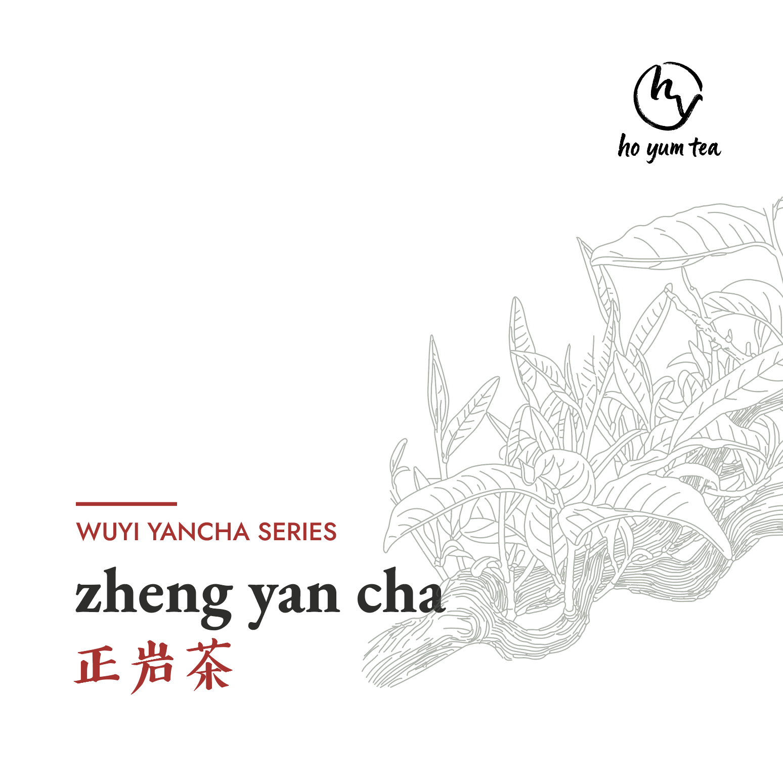zheng yan cha - wuyi yancha series