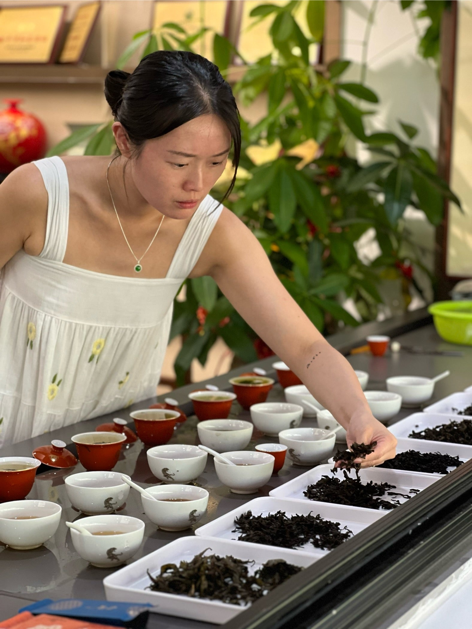 Pink Luk is sorting wuyi yancha tea leaves in the tasting sessions